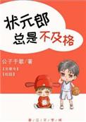 状元郎总是不及格菠萝笔记
