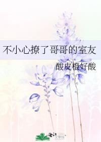 不小心撩了爱豆