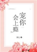宠你会上瘾董七