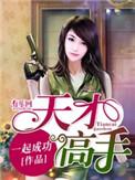 天才高手在都市第二部续集