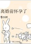 离婚前怀孕了 香水树