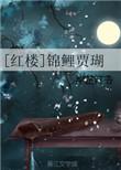 红楼之锦鲤贾瑚txt
