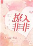 撩入非非无防盗章