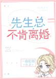 先生总不肯离婚全文阅读