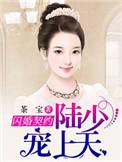闪婚娇妻陆少别太急
