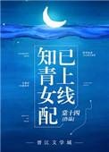 知青女配已上线全文无防盗