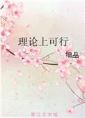 理论上可行是什么意思