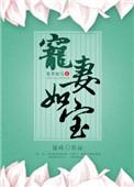 宠妻如宝后面是什么
