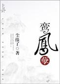 鸾凤孽作者凌风起