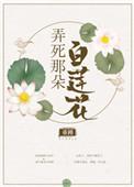 弄死那朵白莲花全文免费无弹窗
