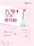九爷宠妻请节制 免费