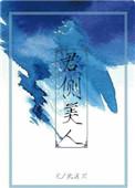 君侧美人 作者北途川