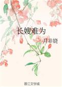 长嫂难为txt