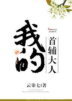 我的首辅大人书评