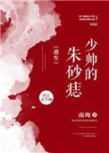 “少帅”