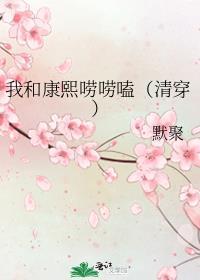 与康熙互换后(清穿) 作者酒筝