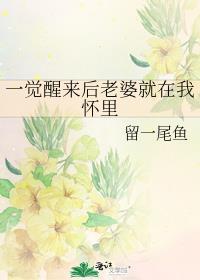 一觉醒来老婆变前妻晋江