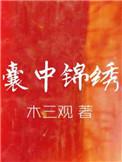 囊中锦绣by木三观免费