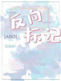 反向标记abo讲了什么