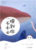 一不小心撩到你闻笙晋江