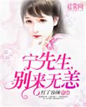 宁先生的宠妻日常全文免费趣味