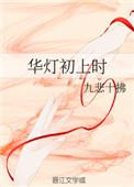 华灯初上 意思