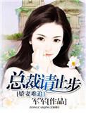 娇妻难哄总裁追妻路漫漫