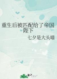 重生后被匹配给了帝国陛下番外