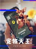 宠物天王讲什么