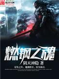 燃钢之魂 笔趣阁