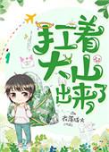 扛着大山出来了95章