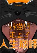 养猫以后我走上人生巅峰