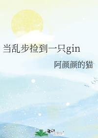 当乱步捡到一只Gin百度