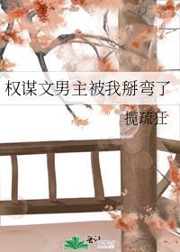 权谋双男主