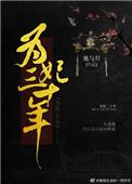 为妃三十年百度