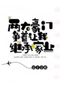 两大豪门争着让我继承家业 完结+番外