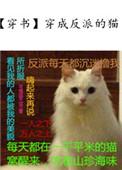 穿成反派的猫后我称霸娱乐圈gl殊十一