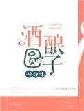酒酿圆子好甜呀在线阅读