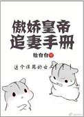 傲娇王爷追妻路