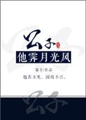公子他霁月光风简介