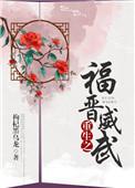 穿越之福晋威武