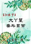 红楼大丫鬟奋斗日常格格党