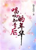 唱响知青后的年华免费