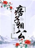 痞子相公txt书包网