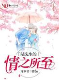 陆先生之情之所至