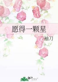 一颗心愿全部献给你是什么歌名