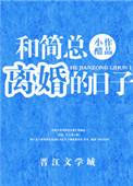 和简总离婚的日子免费阅读