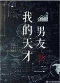 我的天才男友晋江