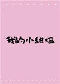 我的小甜猫txt百度