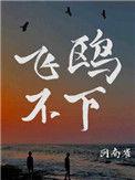 飞鸥不下盛珉鸥的秘密是什么